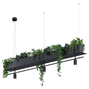 Изображение ПЛАНТ №4