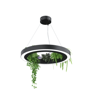 Изображение Стэрия Плант подвесной